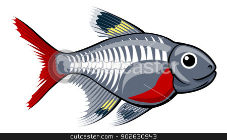 Xray Fish Clipart X Ray Tetra Cartoon Fish Stock