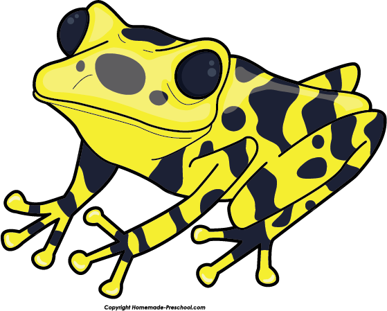 Yellow Frog Clipart Yellow Poison Dart Frog