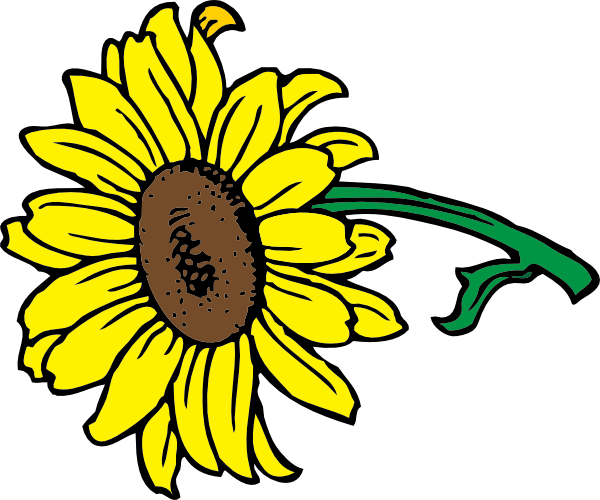 Back   Gallery For   Sunflower Bouquet Clip Art