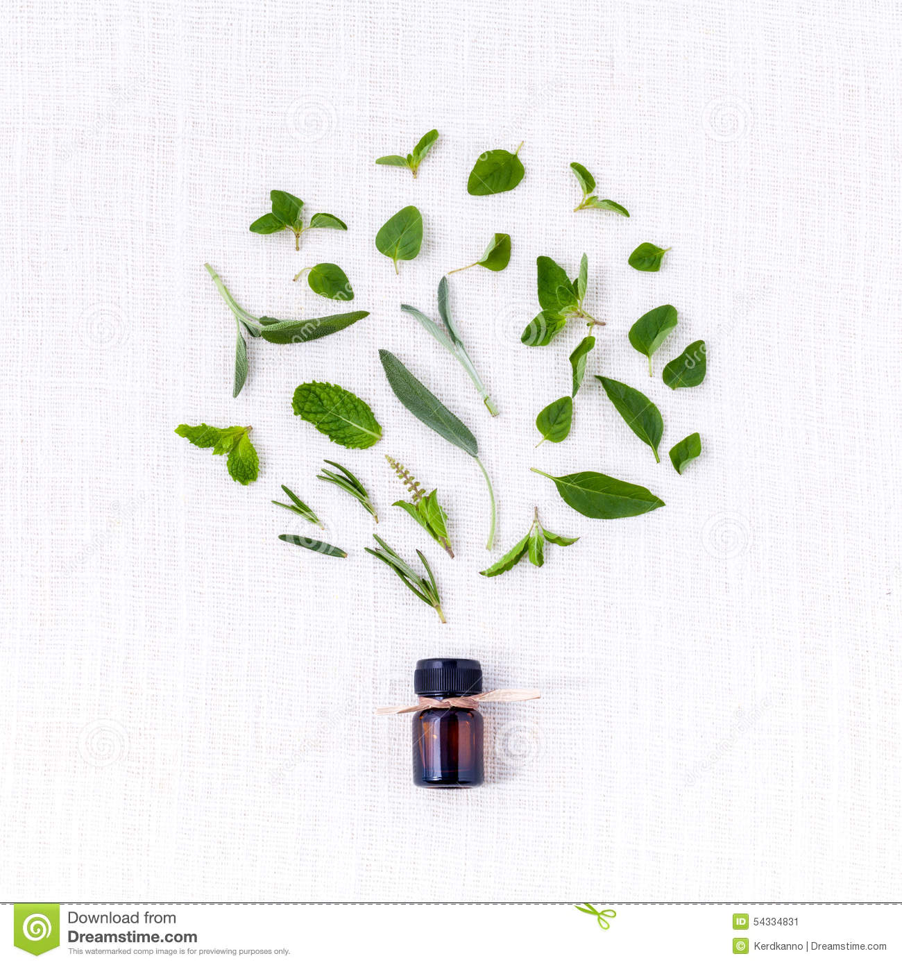 Bottle Of Essential Oil With Herb Holy Basil Leaf Stock Photo   Image