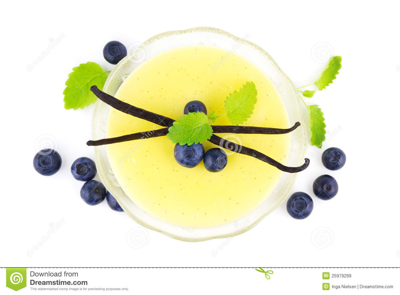 Bowl Of Vanilla Pudding With Vanilla Beans And Blueberries Viewed From    