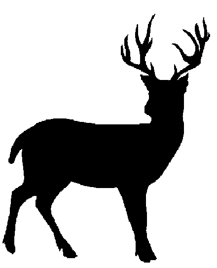 Deer Clip Art   Adiestradorescastro Com Clipart