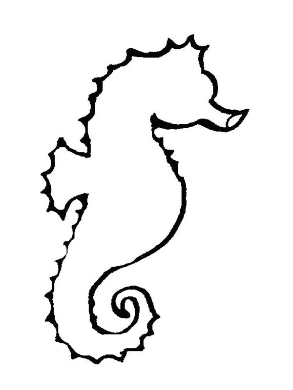 Outline Seahorse   Free Cliparts That You Can Download To You
