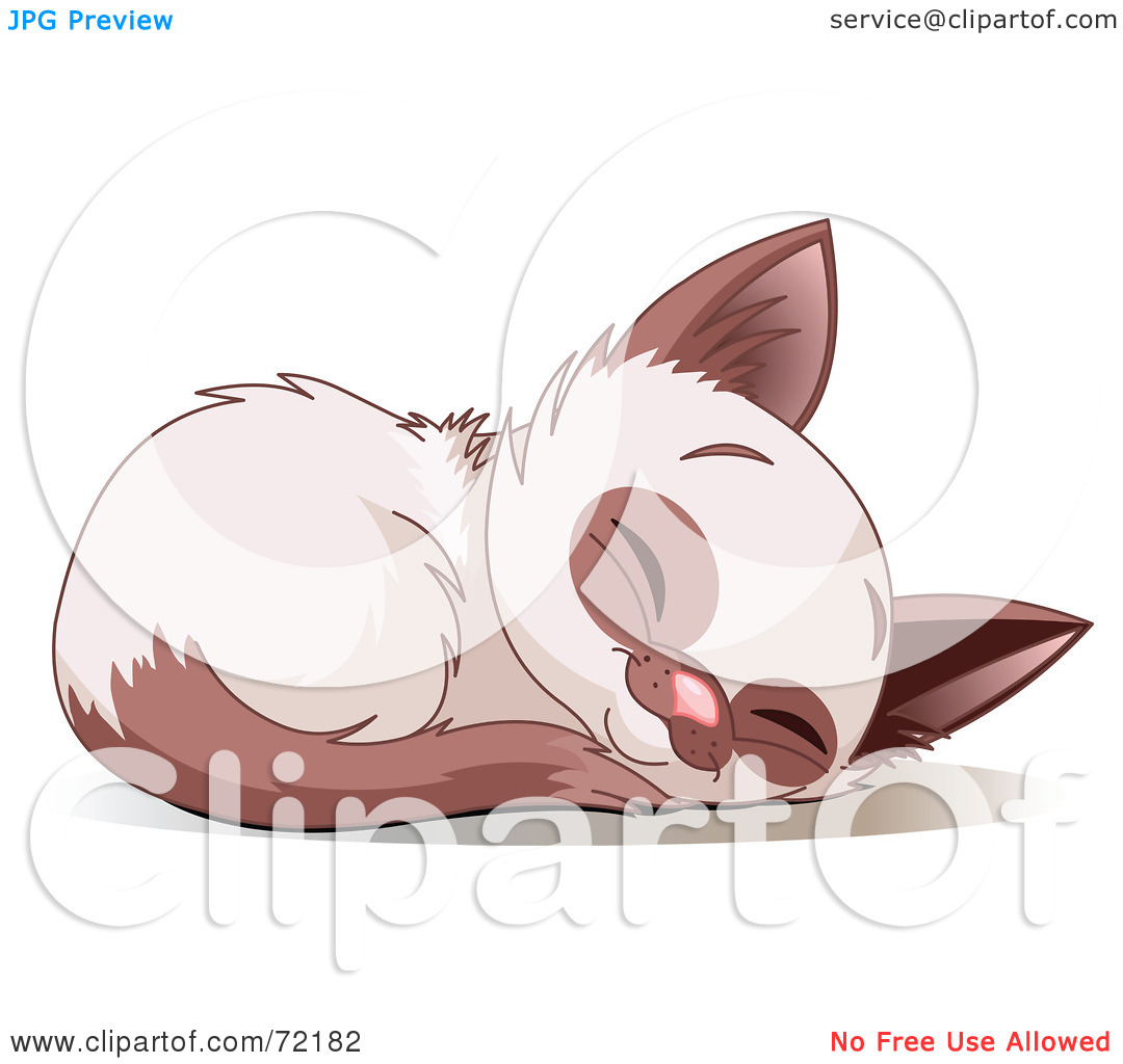 Rf  Clipart Illustration Of A Cute Siamese Kitten Curled Up And Sound