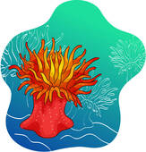 Sea Anemone Clip Art Eps Images  220 Sea Anemone Clipart Vector    