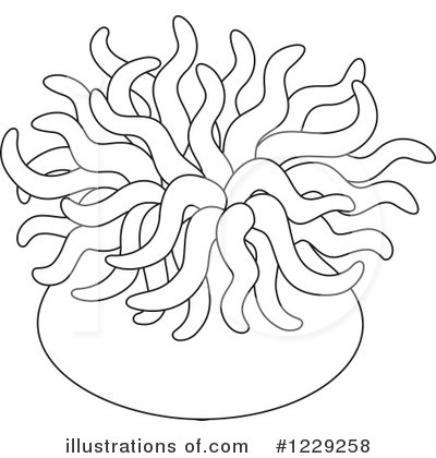 Sea Anemone Coloring Pages Royalty Free  Rf  Sea Anemone