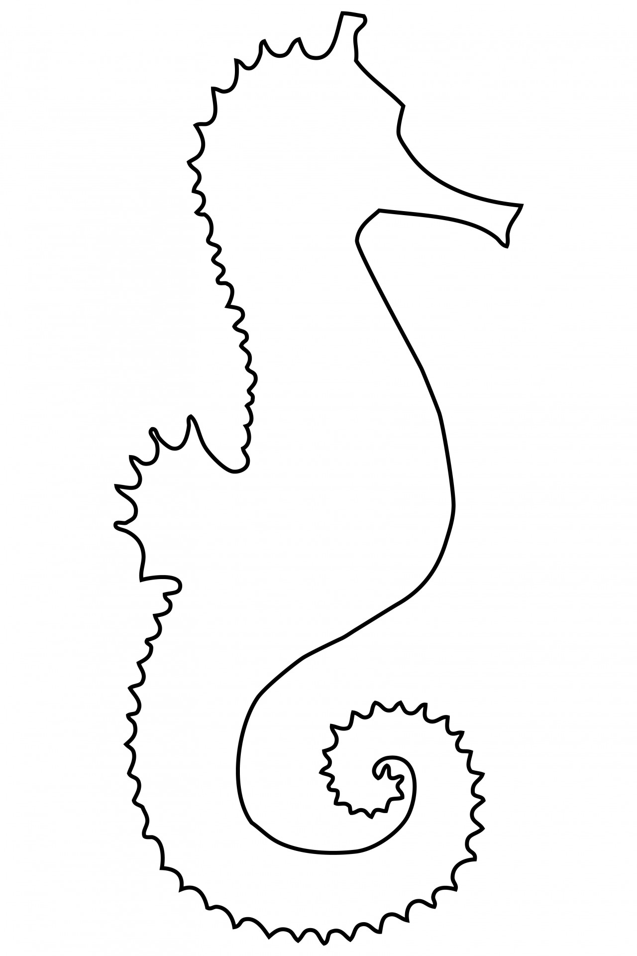 Seahorse Outline Clipart Free Stock Photo Hd   Public Domain Pictures