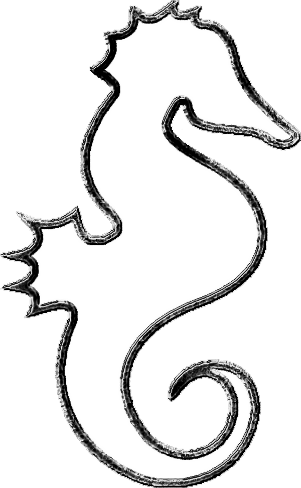 Seahorse Silhouette Clip Art 6051