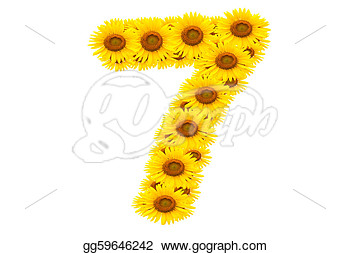 Stock Illustrations   Number 7 Sunflower   Stock Clipart Gg59646242