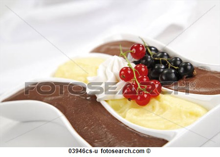 Stock Image   Chocolate And Vanilla Pudding With Currents  Fotosearch
