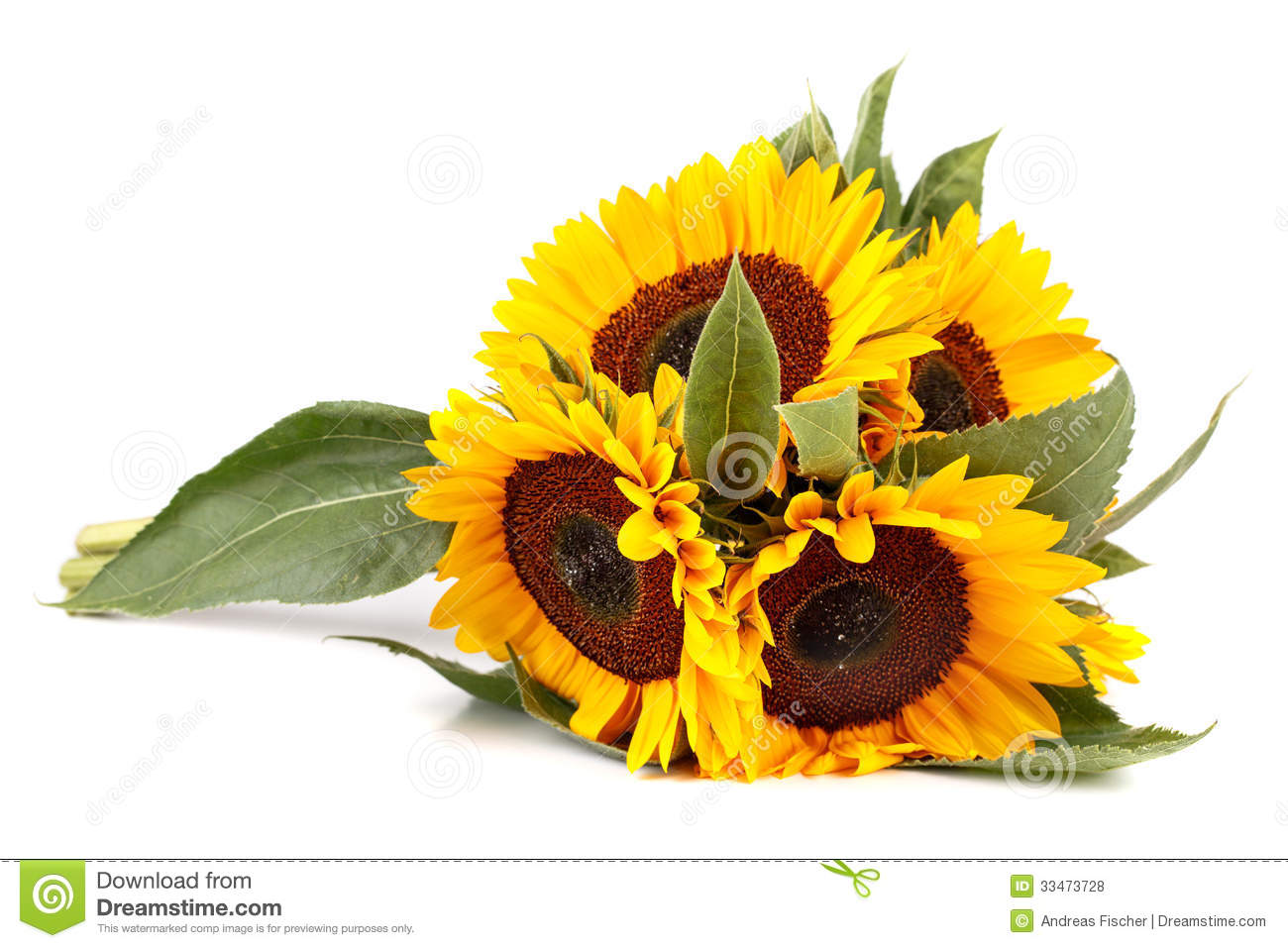 Sunflower Bouquet Clip Art Bouquet Of Sunflowers