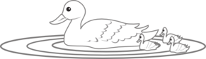 Swimming Duck Family Clip Art   Art   Download Vector Clip Art Online