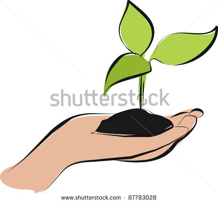 Apple Seed Sprout Clipart Sprout On Hand And Green