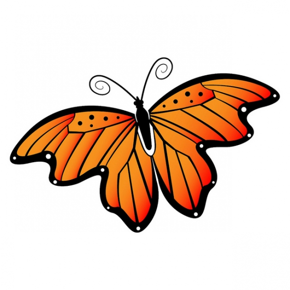 Flying Butterfly Clip Art   Clipart Best   Cliparts Co