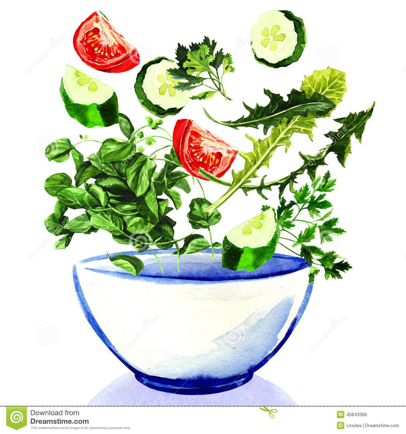 Fresh Vegetables Falling Into Bowl Of Salad Stock Illustration   Image
