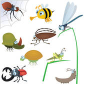 Funny Insect Set  2