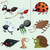 Funny Insect Set   Clipart Graphic