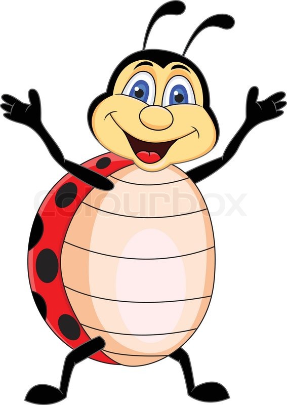 Funny Ladybug Cartoon   Vector   Colourbox