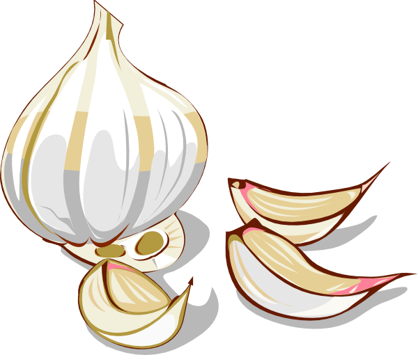 Garlic Clip Art At Clker Com   Vector Clip Art Online Royalty Free    