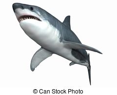 Great White Shark   3d Render Of An Great White Shark