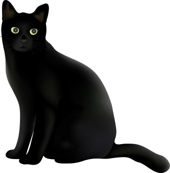 Halloween Black Cat Face Clipart   Hvgj