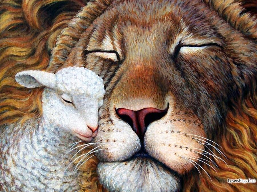 Lion And Lamb Best Friends Painting