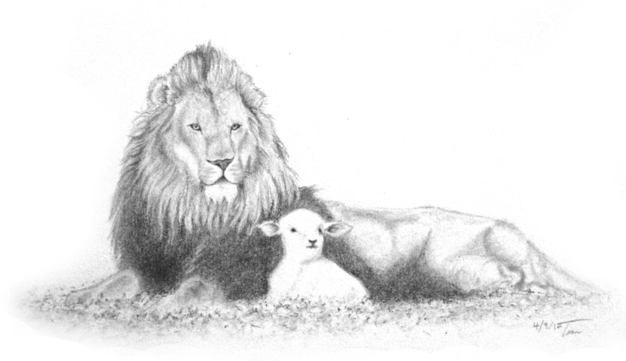 Lion And Lamb By Horsefantasy On Deviantart