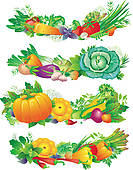 Mixed Vegetables Illustrations And Clip Art  481 Mixed Vegetables