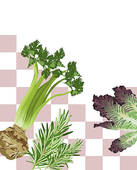 Mixed Vegetables Illustrations And Clipart