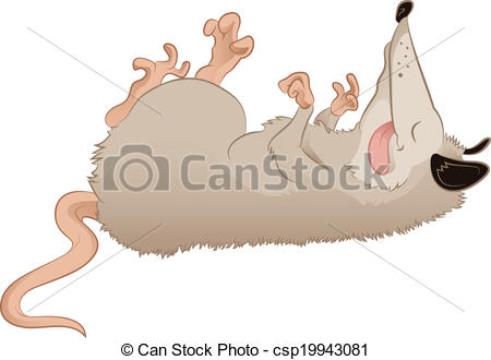 Opossum   Stock Illustration Royalty Free Illustrations Stock Clip