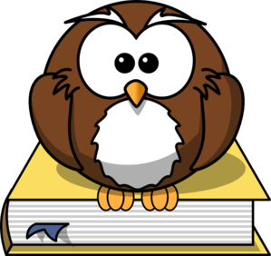 Owl2 Clip Art At Clker Com   Vector Clip Art Online Royalty Free    