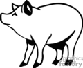 Pig Pigs Swine Hog Hogs Farm Farms Animals Bab0216 Gif Clip Art    