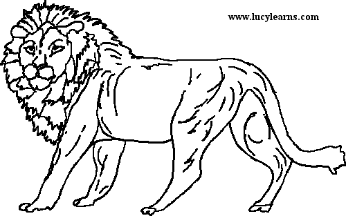 Print The Lion The Witch And The Wardrobe Coloring Pages