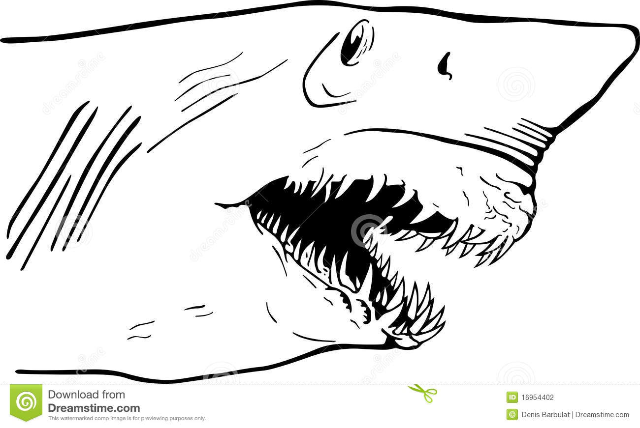 Related  Shark Clip Art  Shark Jaw Clip Art  Shark Teeth Decal