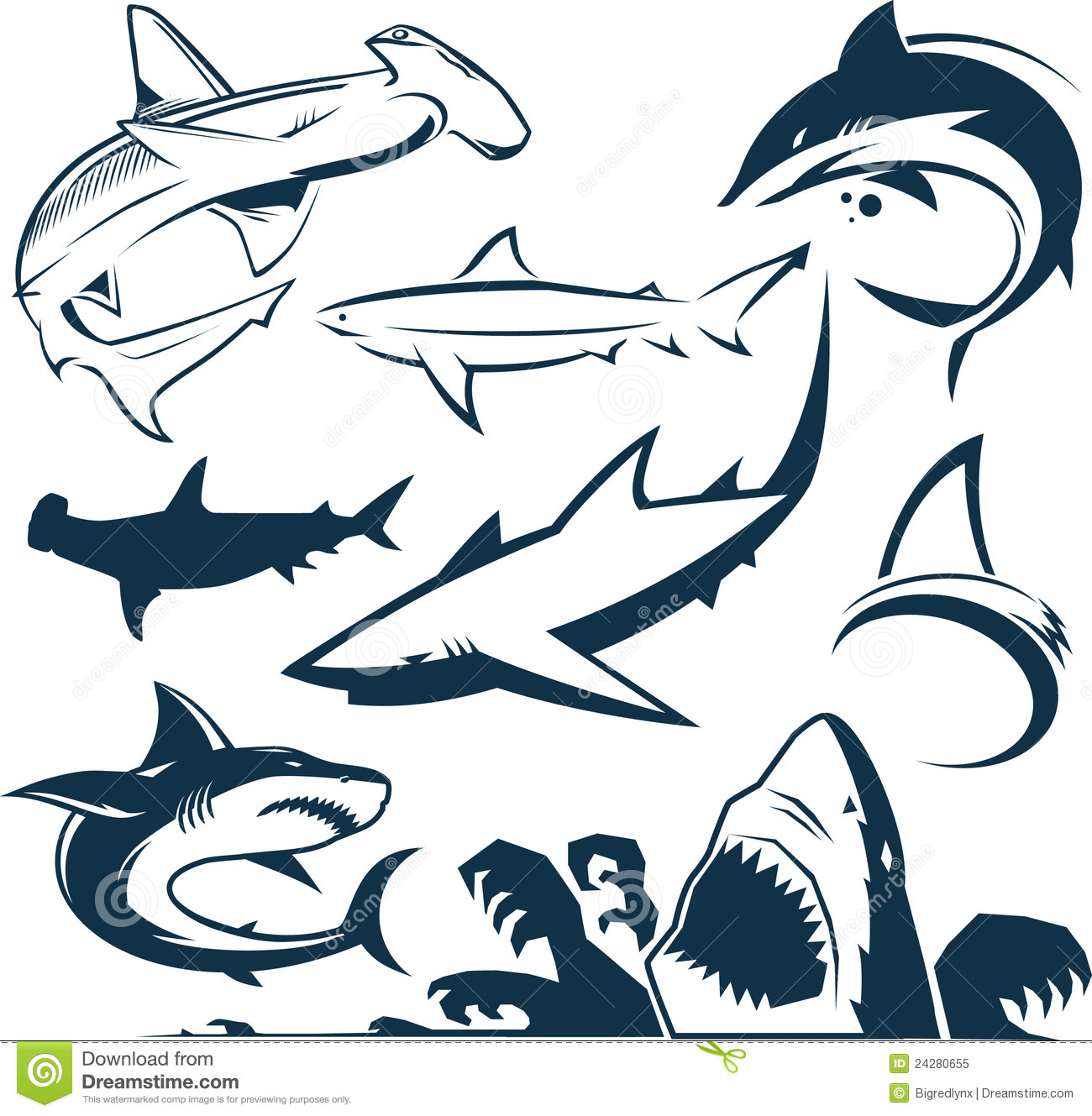 Shark Collection Royalty Free Stock Photo   Image  24280655