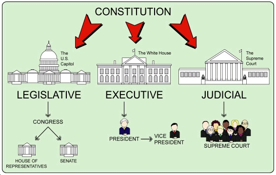 The Federal And State Governments Each Have Three Branches