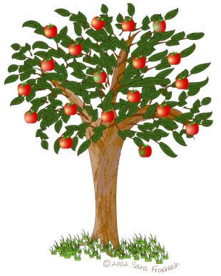 There Is 25 Apple Tree Sprout   Free Cliparts All Used For Free