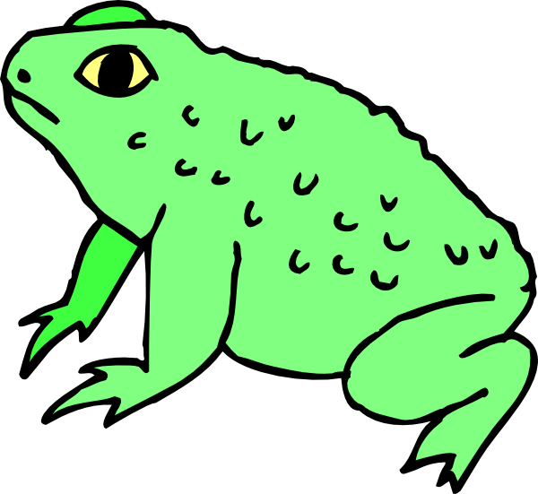 Warty Frog Clip Art At Clker Com   Vector Clip Art Online Royalty