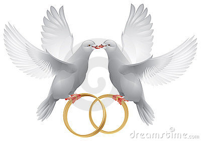 Wedding Doves With Rings Royalty Free Stock Photography