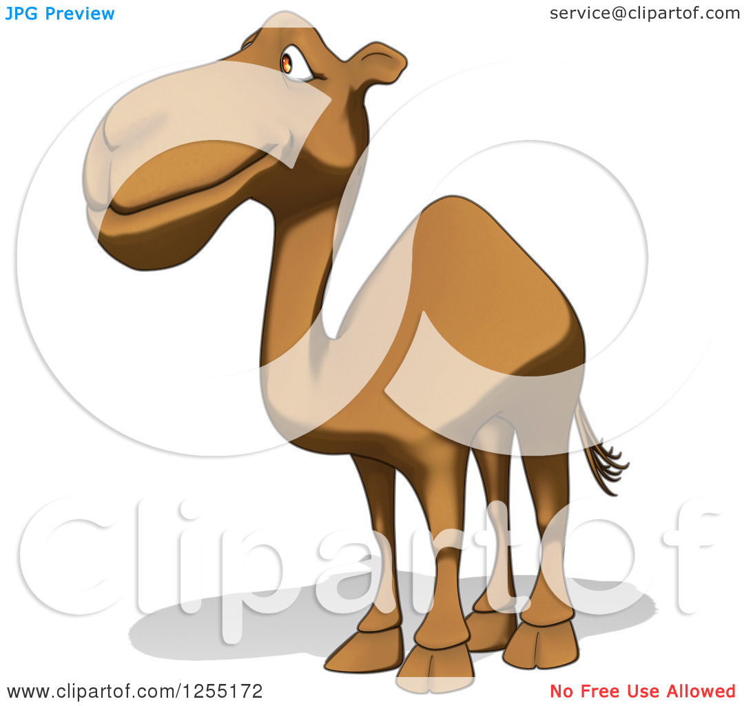 Clipart Of A Happy Camel Facing Left   Royalty Free Illustration By