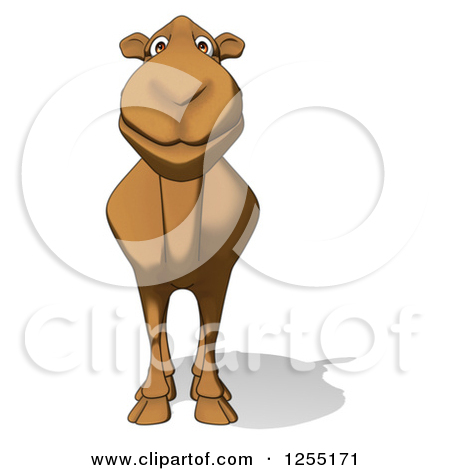 Clipart Of A Happy Camel   Royalty Free Illustration By Julos  1255171