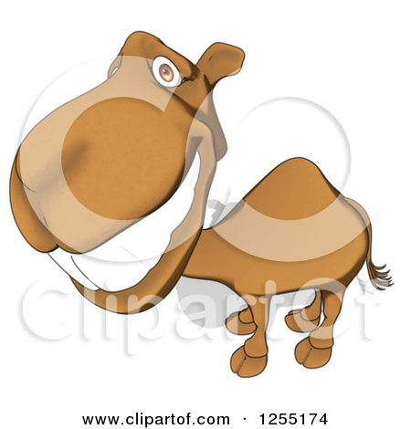 Clipart Of A Happy Camel   Royalty Free Illustration By Julos