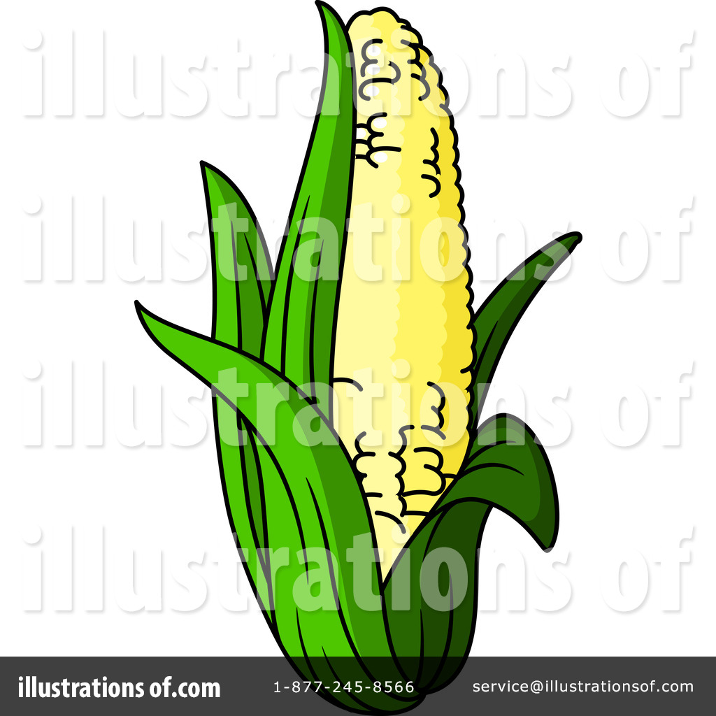Corn Stock Clip Art