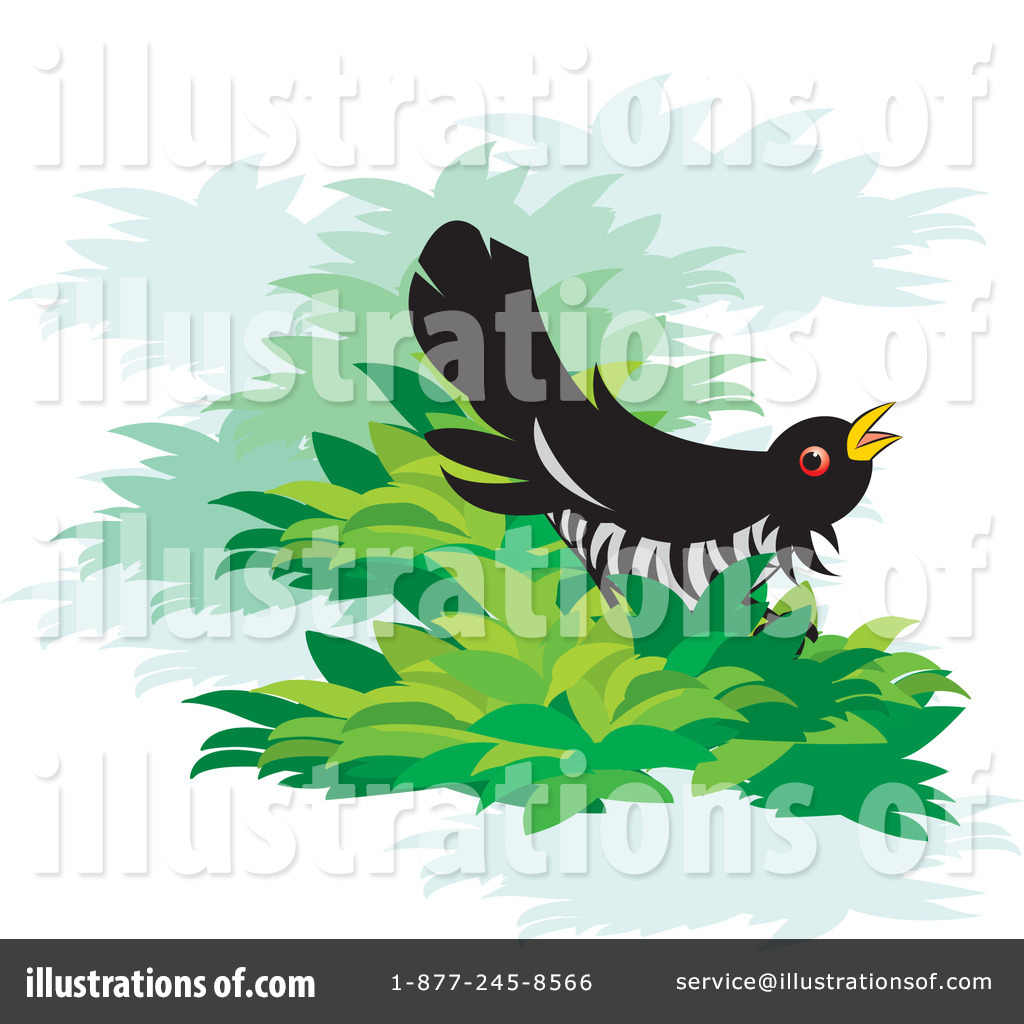 Cuckoo Bird Clipart  71606 By Lal Perera   Royalty Free  Rf  Stock