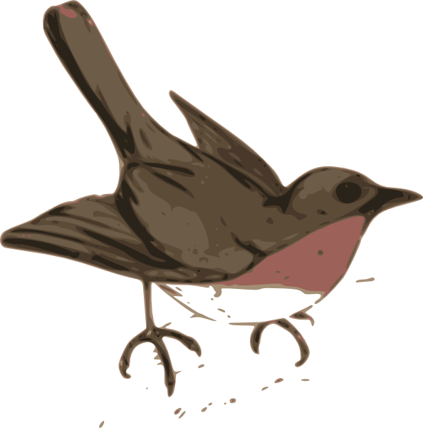 Cuckoo Bird Clipart Bird Clip Art   Vector Clip