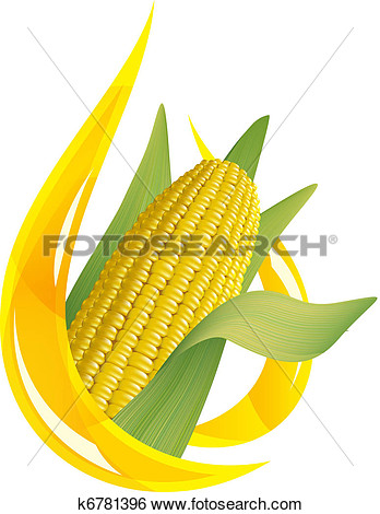 Of Oil And Corn Cob  K6781396   Search Clip Art Drawings Fine Art    