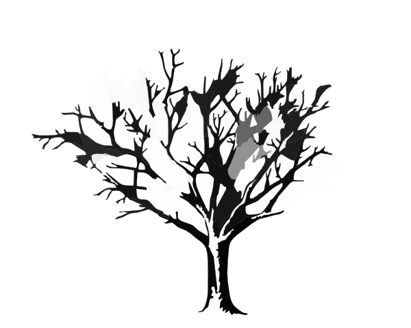 Req Tree Spooky Graphicsfairy C Clip Art At Clker Com   Vector Clip
