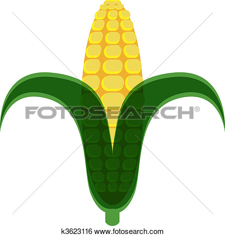 Stock Illustration   Corn Cob  Fotosearch   Search Clip Art Drawings