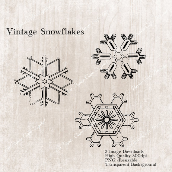 Vintage Snowflake Trio Digital Clipart Image Download  Transparent    