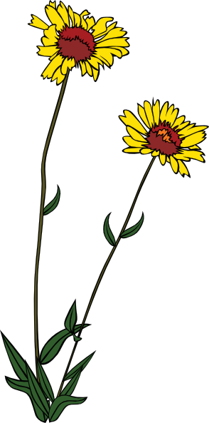 Yellow Wild Flower Clip Art At Clker Com   Vector Clip Art Online